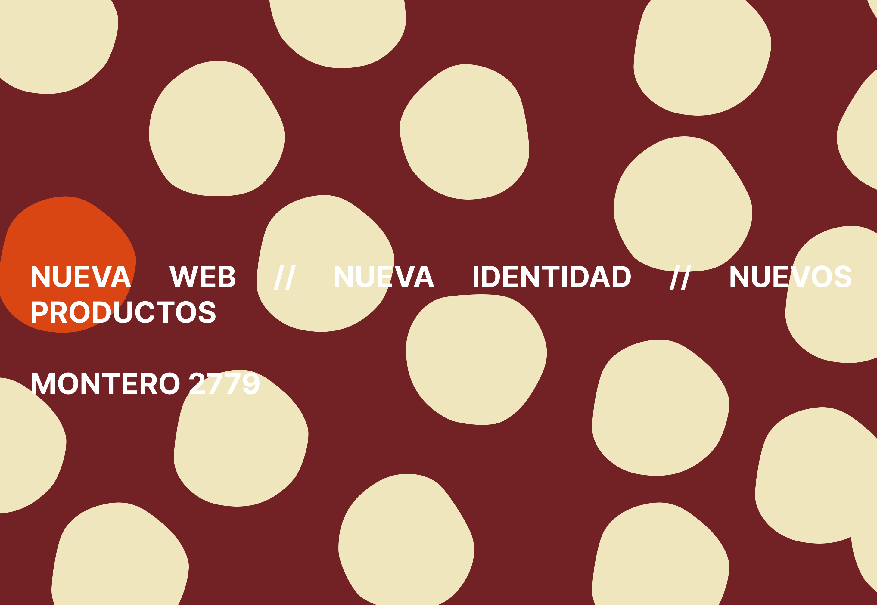 NUEVA WEB